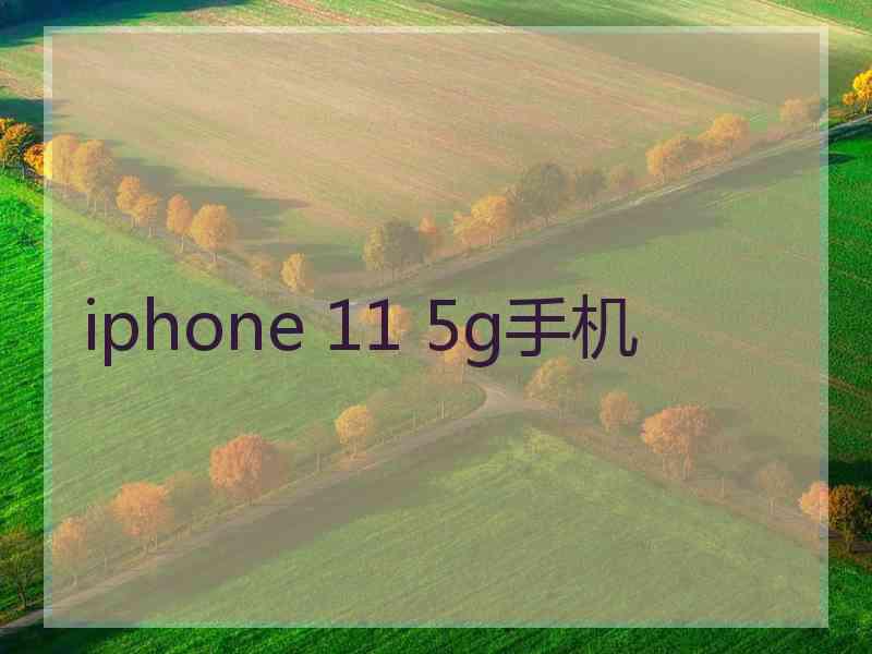 iphone 11 5g手机