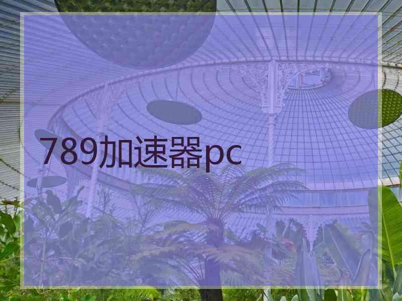 789加速器pc