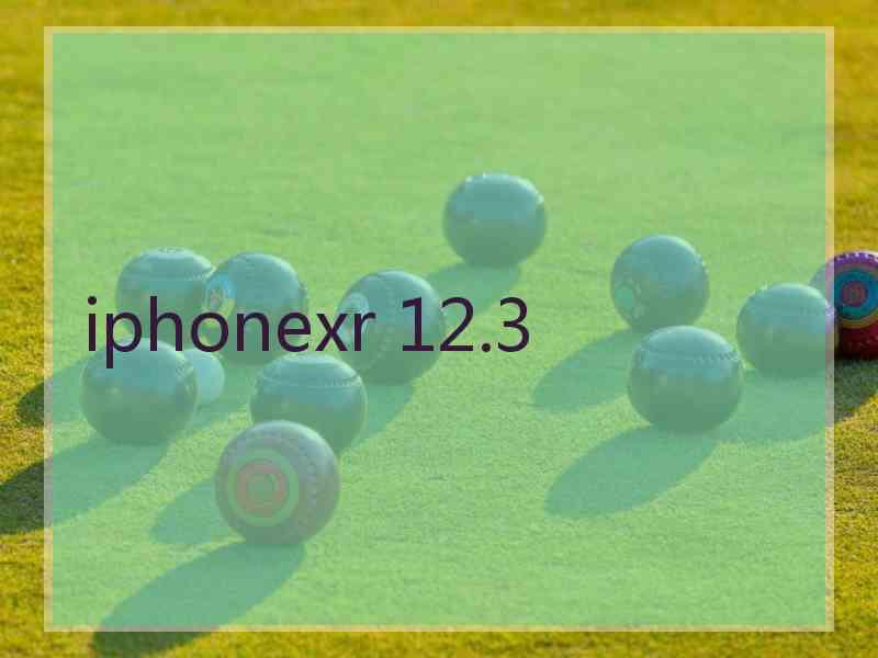 iphonexr 12.3