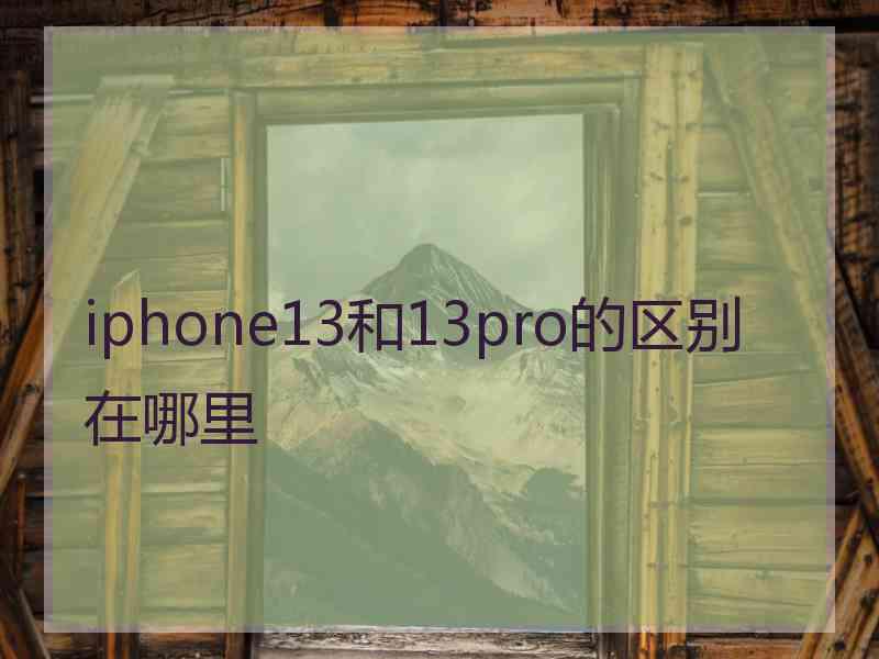 iphone13和13pro的区别在哪里