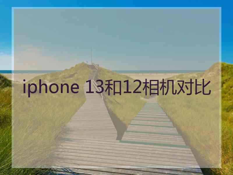 iphone 13和12相机对比