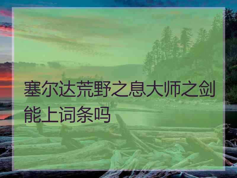 塞尔达荒野之息大师之剑能上词条吗