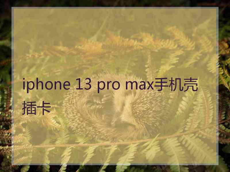 iphone 13 pro max手机壳插卡