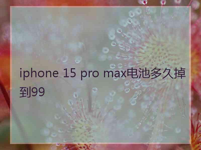 iphone 15 pro max电池多久掉到99