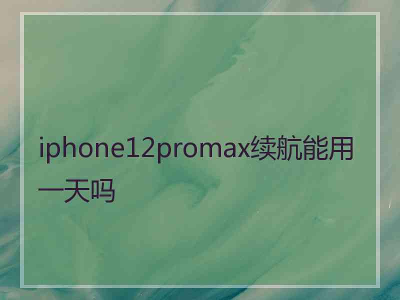 iphone12promax续航能用一天吗