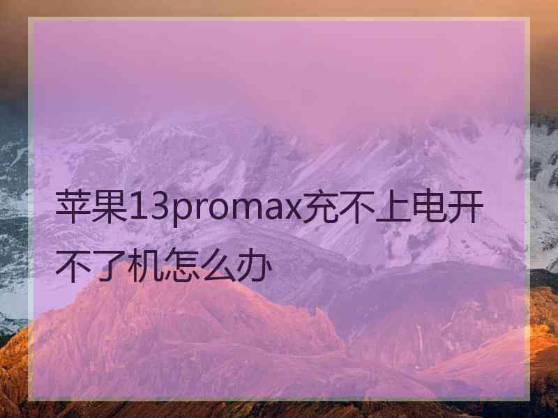 苹果13promax充不上电开不了机怎么办