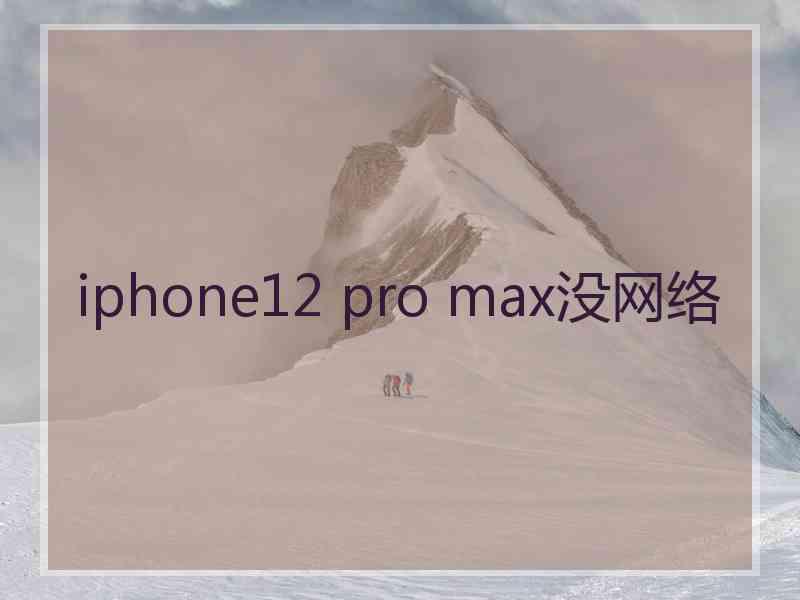 iphone12 pro max没网络