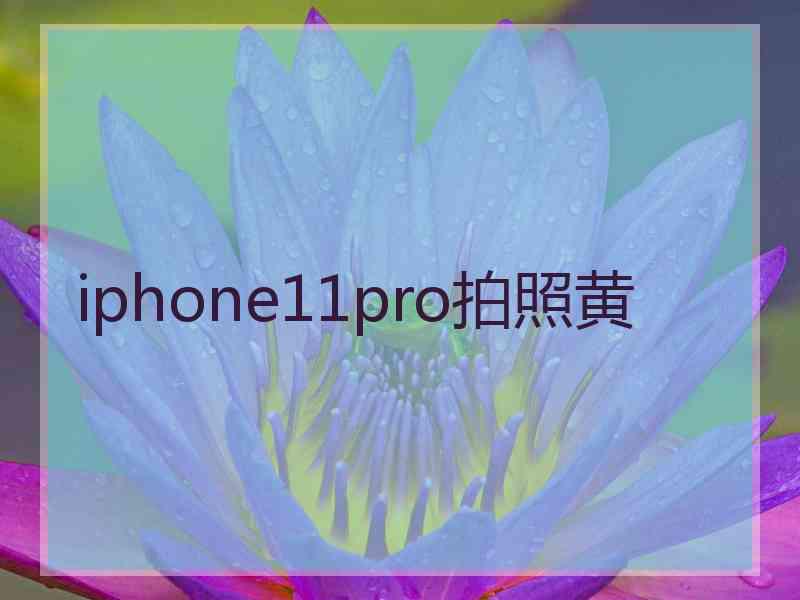 iphone11pro拍照黄