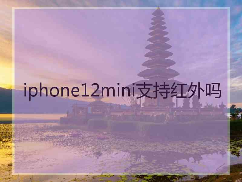 iphone12mini支持红外吗