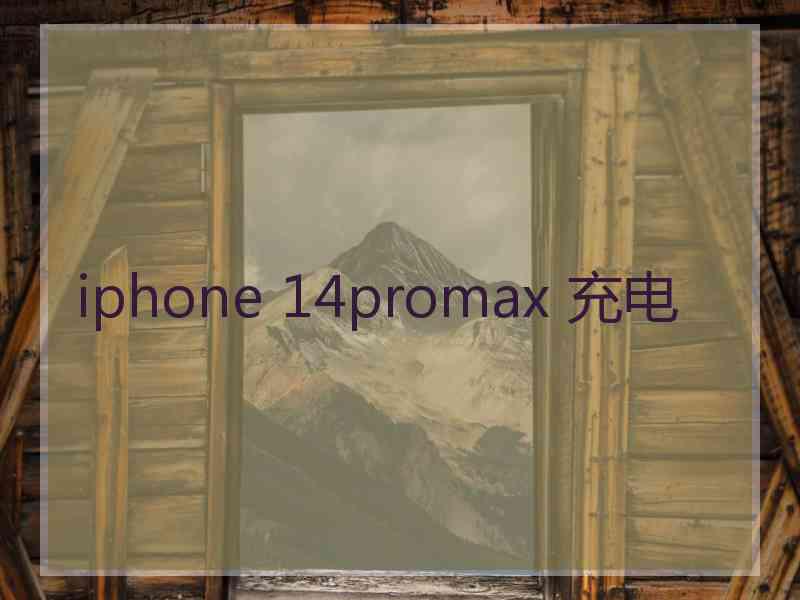 iphone 14promax 充电