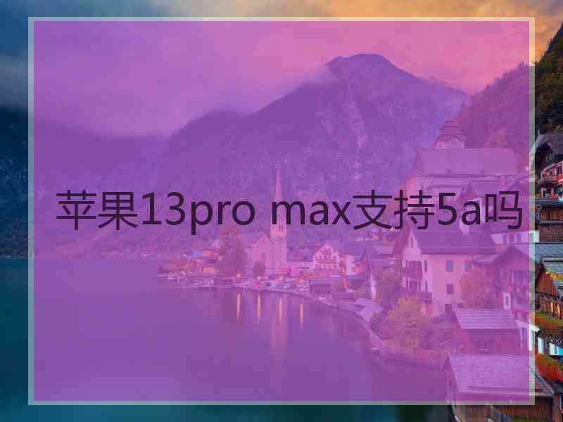 苹果13pro max支持5a吗