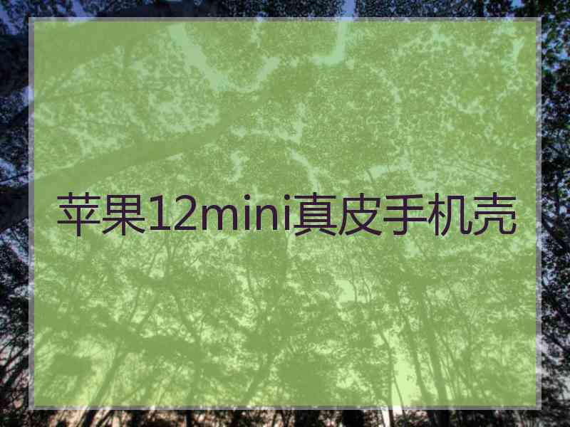 苹果12mini真皮手机壳