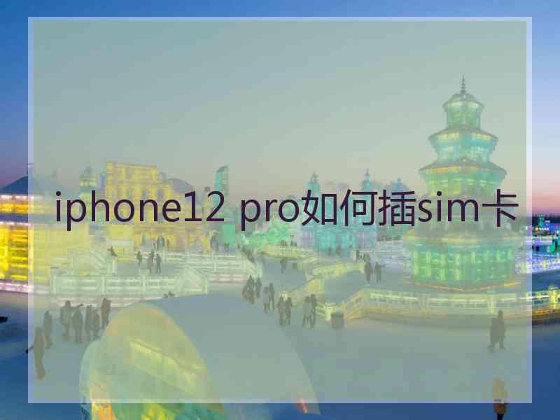 iphone12 pro如何插sim卡