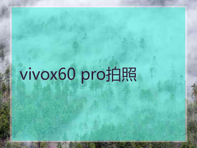 vivox60 pro拍照