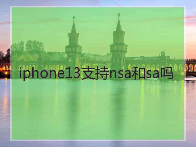 iphone13支持nsa和sa吗