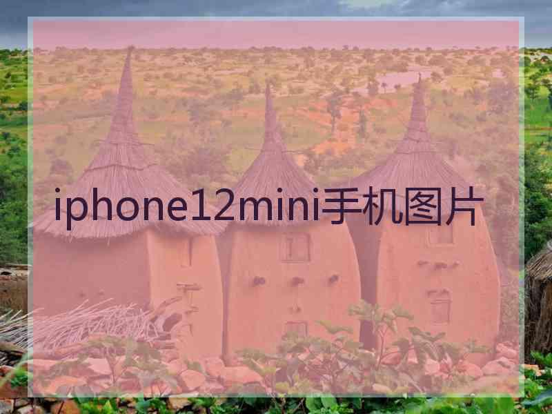 iphone12mini手机图片