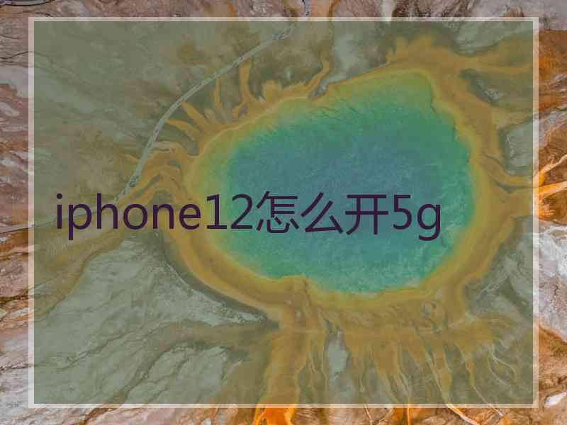 iphone12怎么开5g