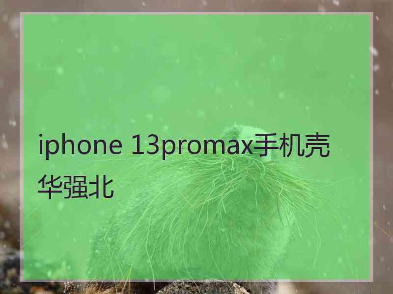 iphone 13promax手机壳华强北