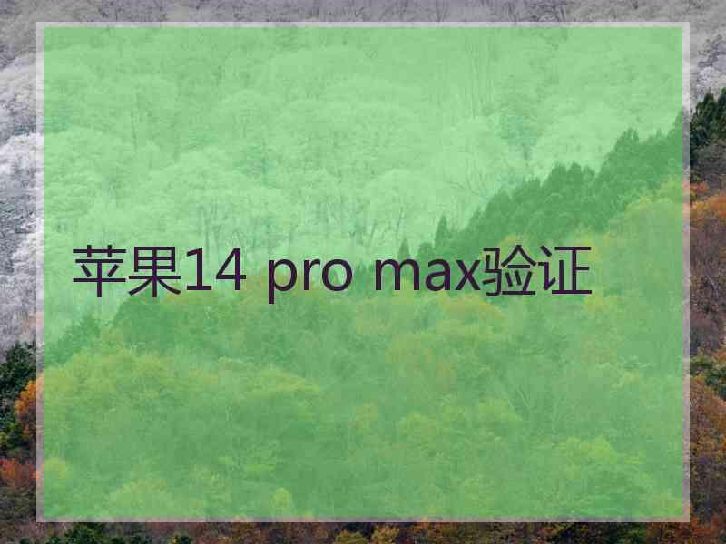 苹果14 pro max验证