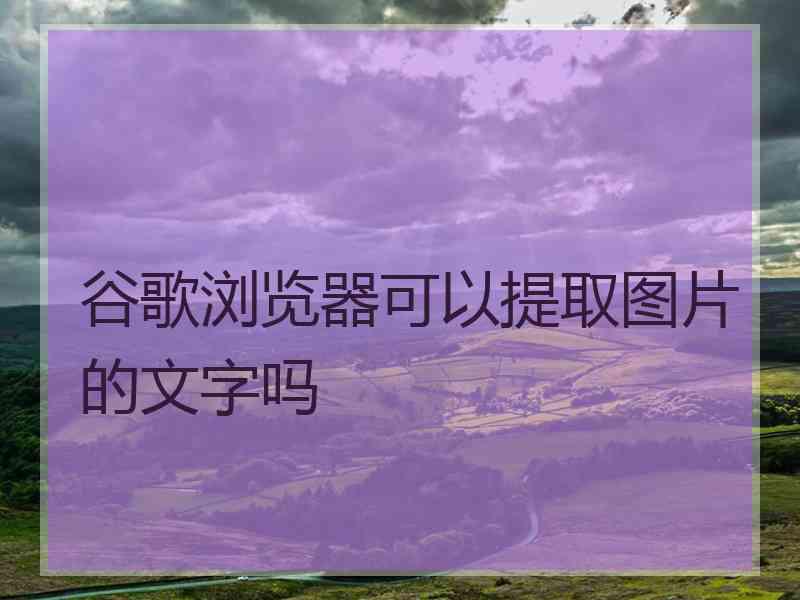 谷歌浏览器可以提取图片的文字吗