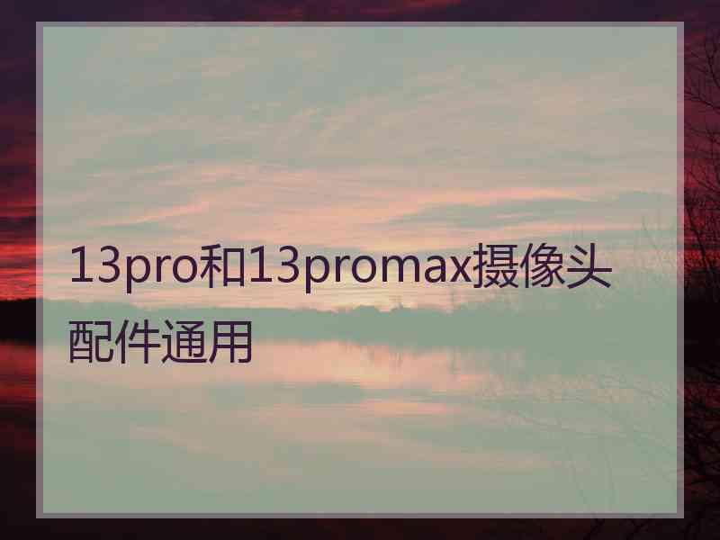 13pro和13promax摄像头配件通用