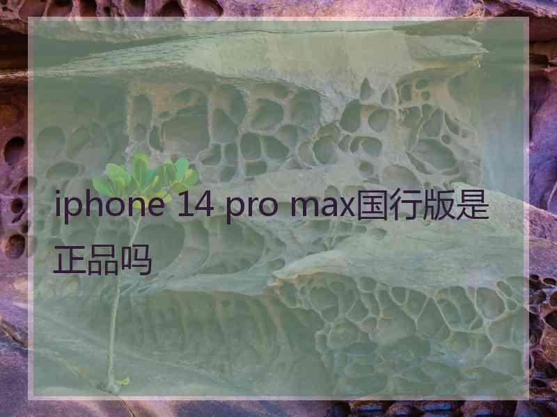 iphone 14 pro max国行版是正品吗