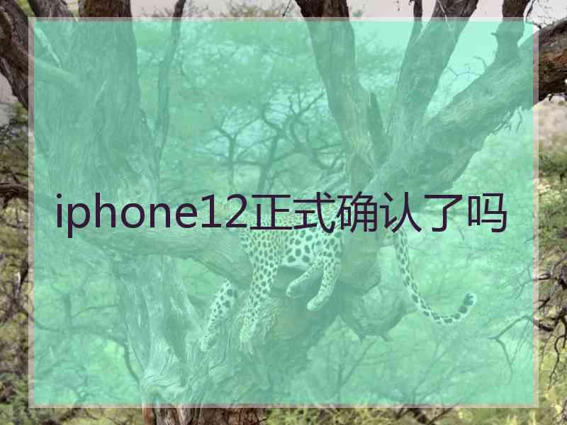 iphone12正式确认了吗