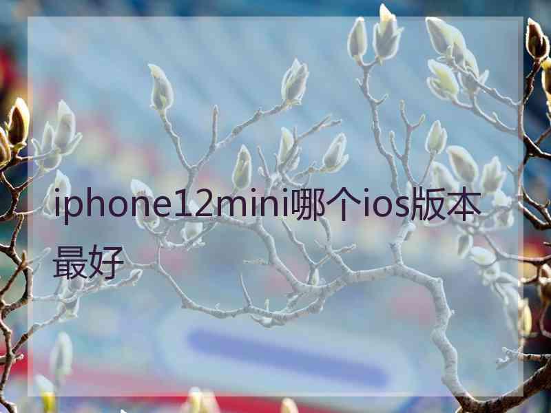 iphone12mini哪个ios版本最好