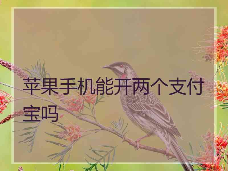 苹果手机能开两个支付宝吗