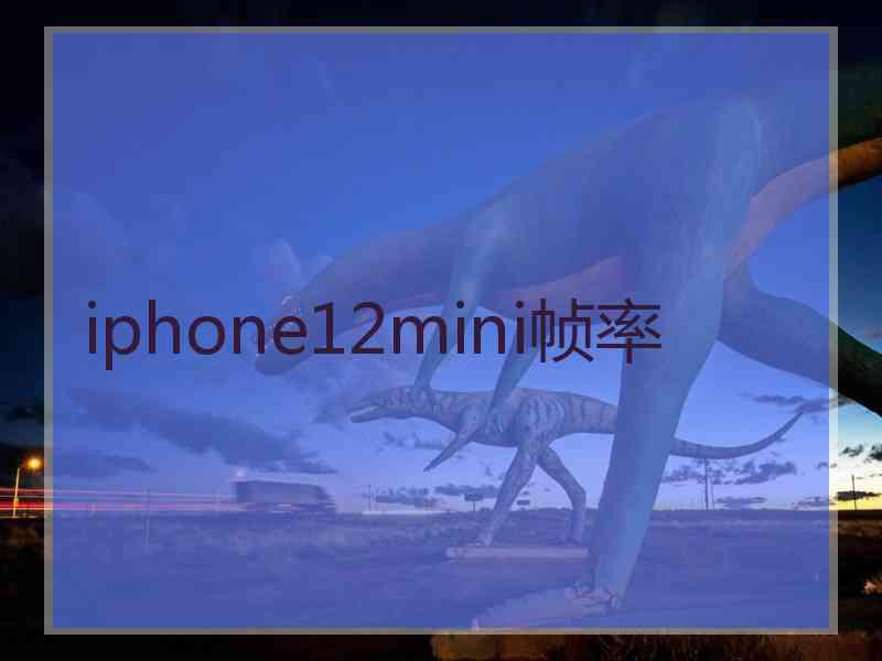 iphone12mini帧率