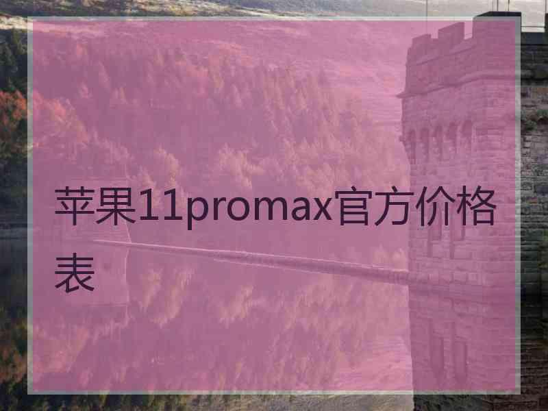 苹果11promax官方价格表