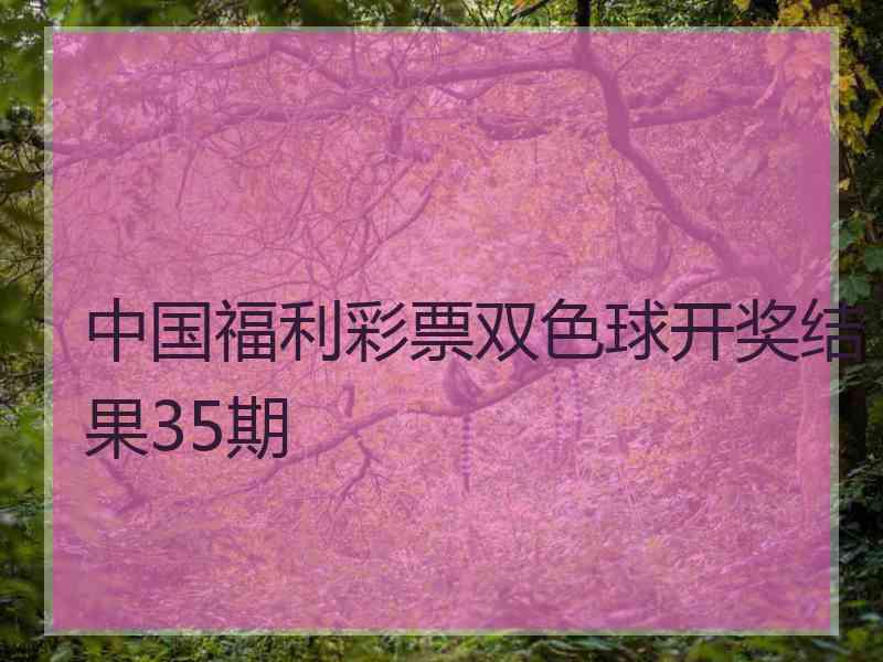 中国福利彩票双色球开奖结果35期