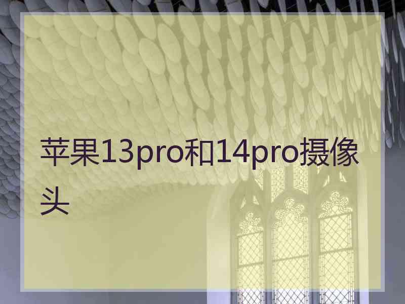 苹果13pro和14pro摄像头