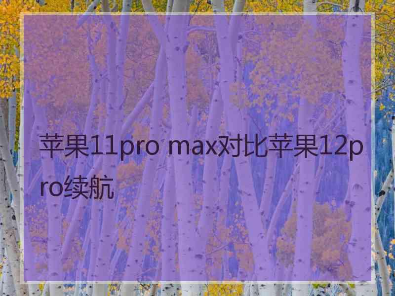 苹果11pro max对比苹果12pro续航