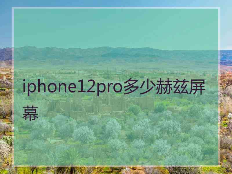 iphone12pro多少赫兹屏幕