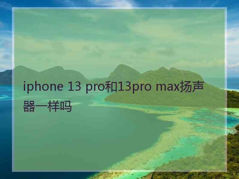 iphone 13 pro和13pro max扬声器一样吗