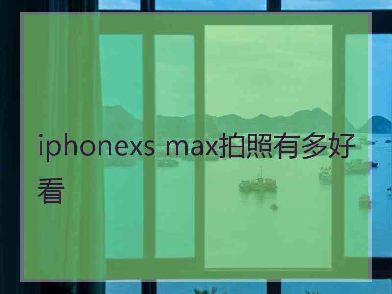 iphonexs max拍照有多好看