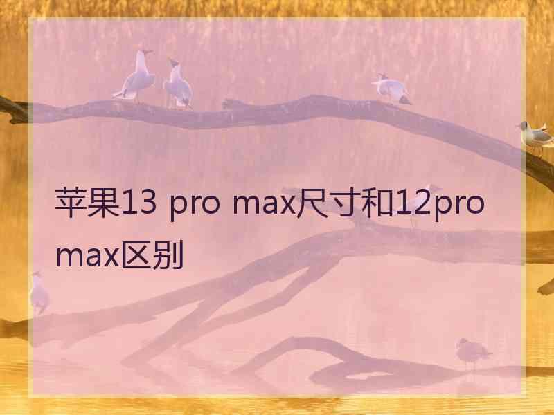 苹果13 pro max尺寸和12promax区别