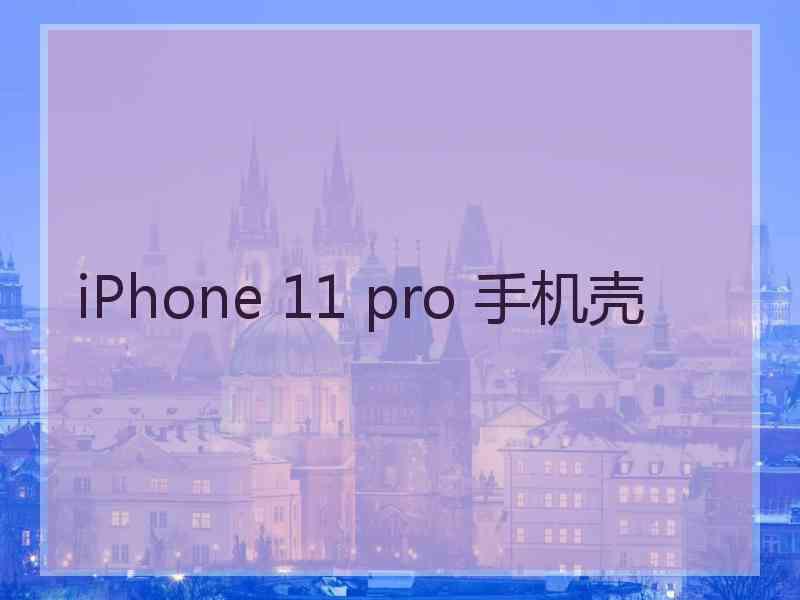 iPhone 11 pro 手机壳