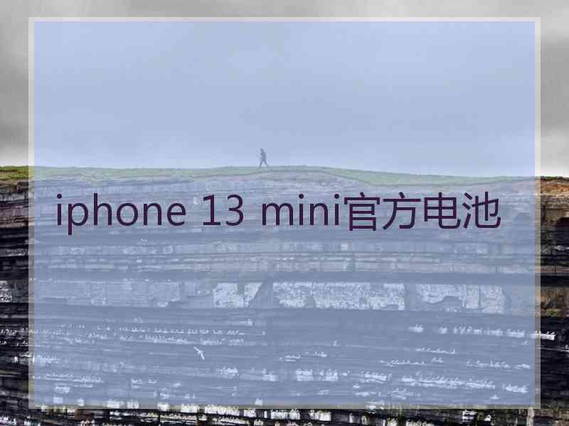 iphone 13 mini官方电池