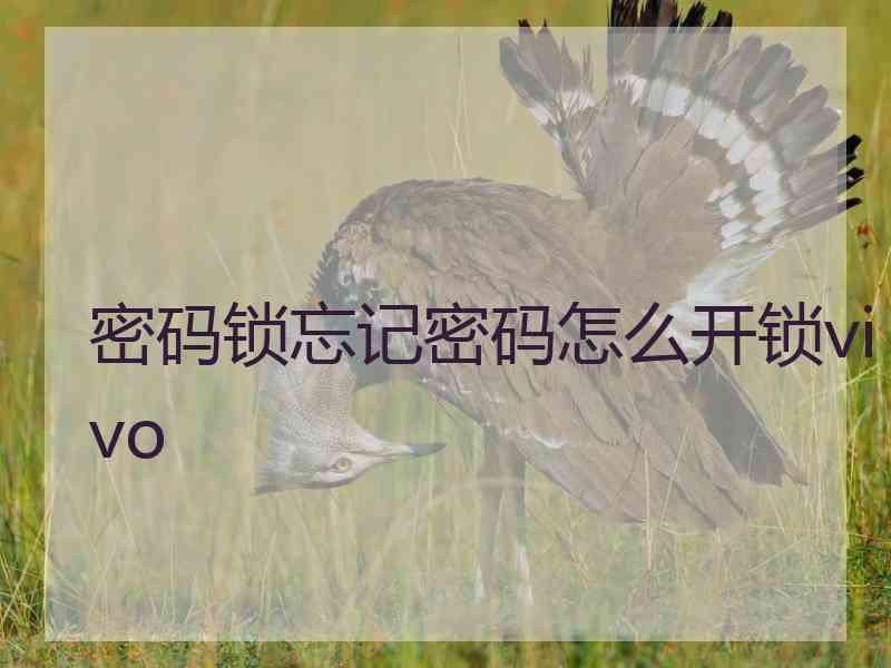 密码锁忘记密码怎么开锁vivo