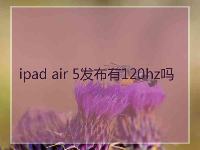 ipad air 5发布有120hz吗