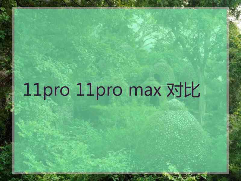 11pro 11pro max 对比