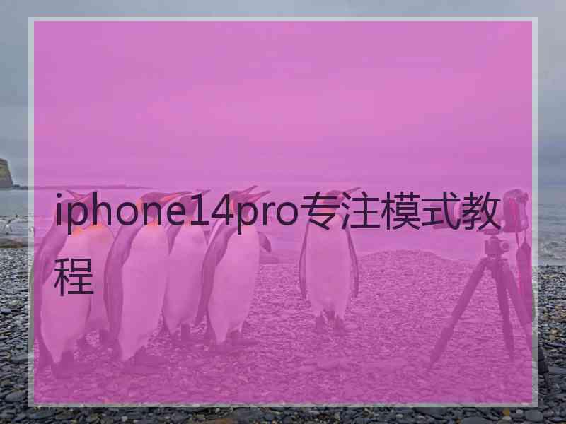 iphone14pro专注模式教程