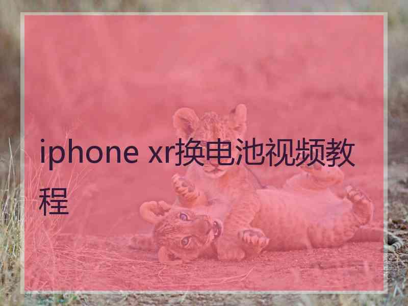 iphone xr换电池视频教程