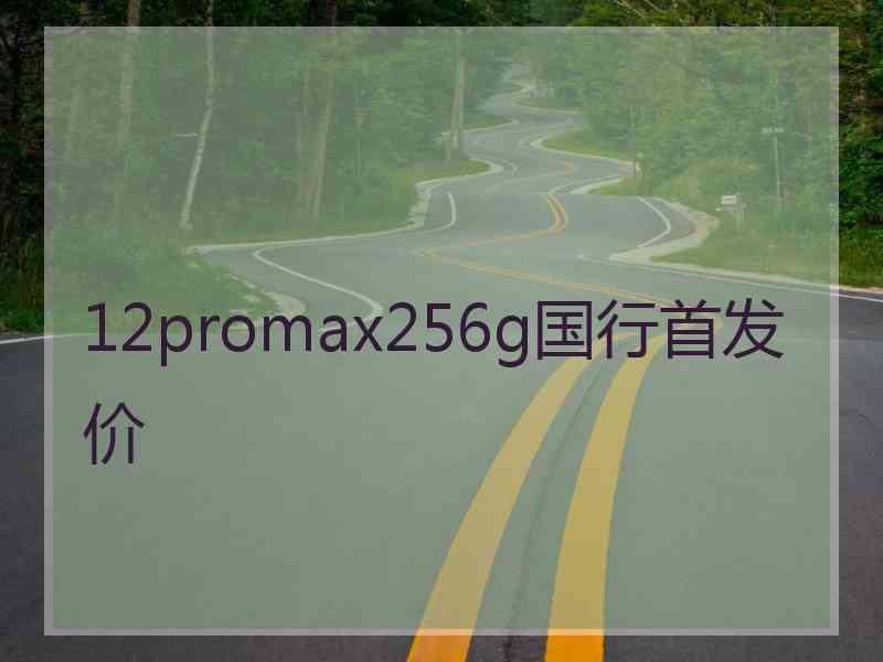 12promax256g国行首发价