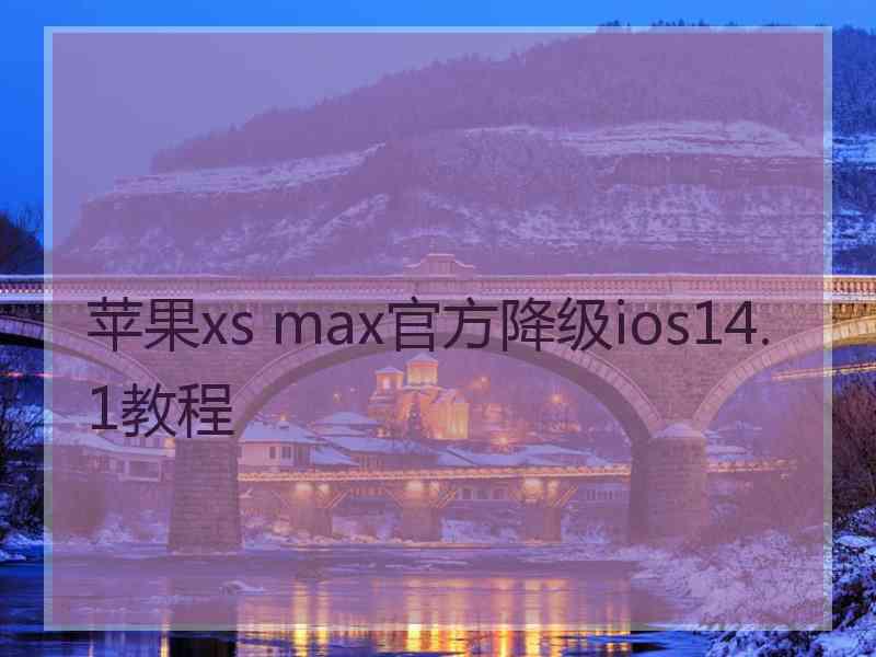 苹果xs max官方降级ios14.1教程