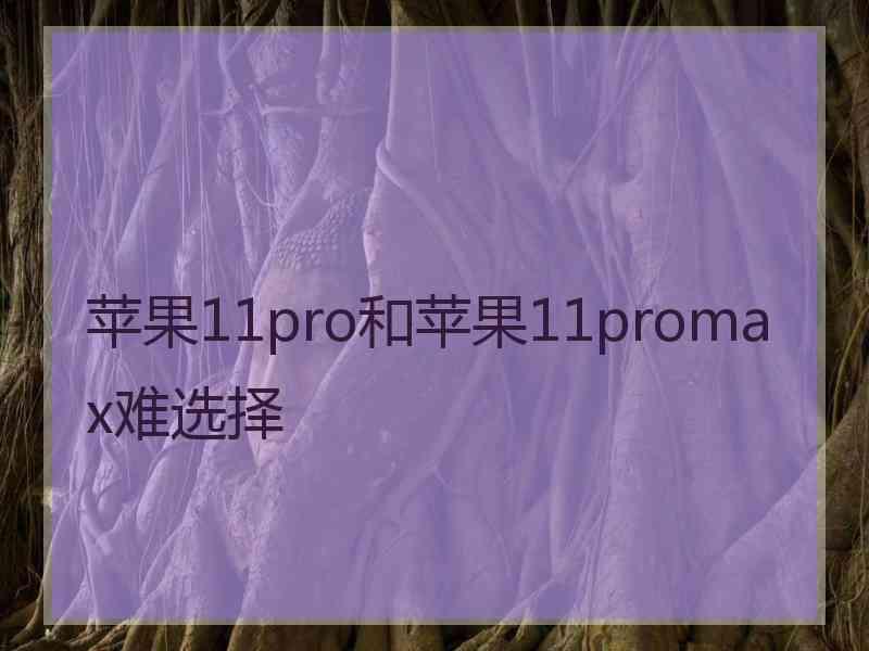 苹果11pro和苹果11promax难选择