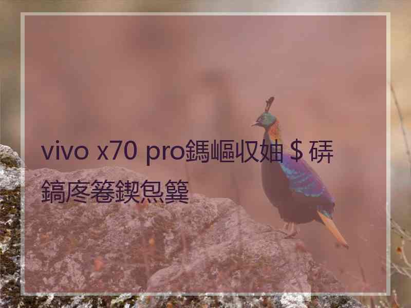 vivo x70 pro鎷嶇収妯＄硦鎬庝箞鍥炰簨