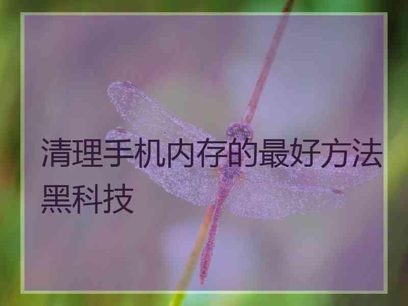 清理手机内存的最好方法黑科技